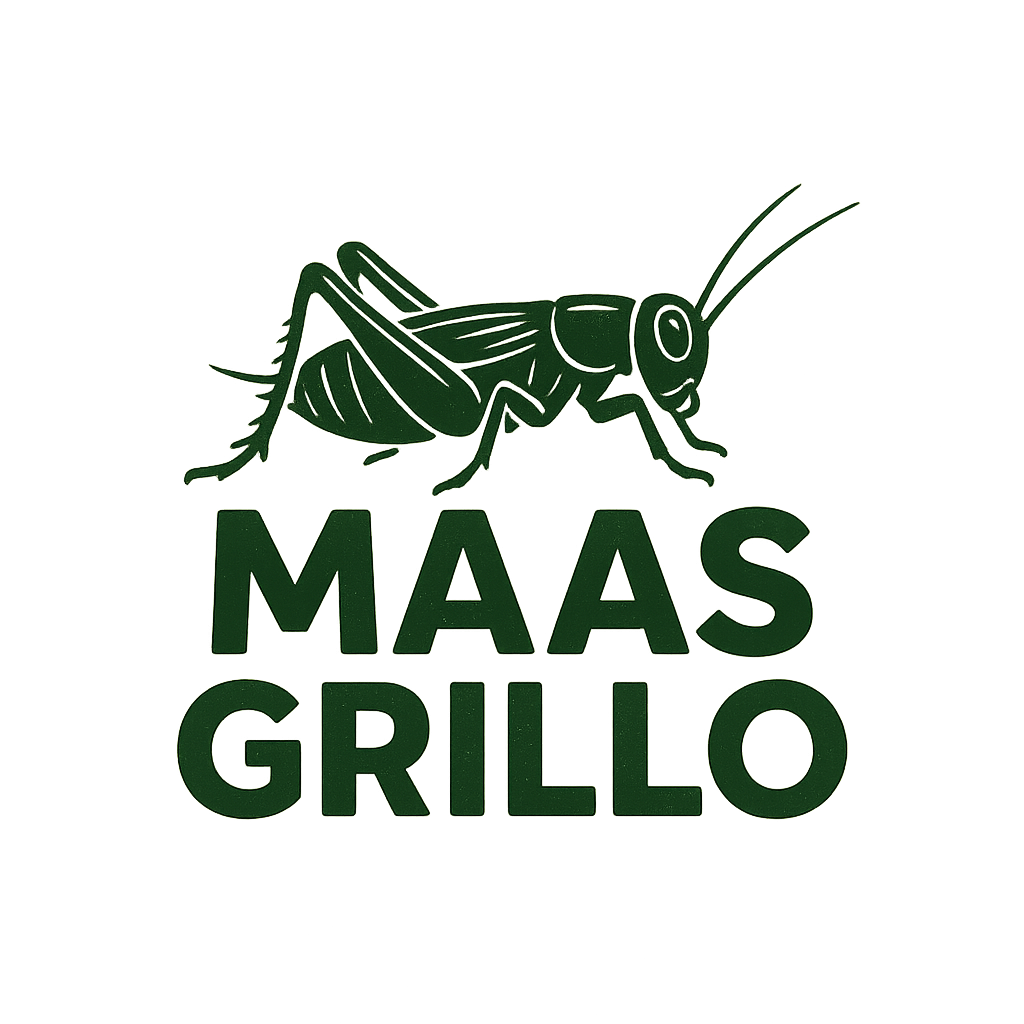 Maas grillo