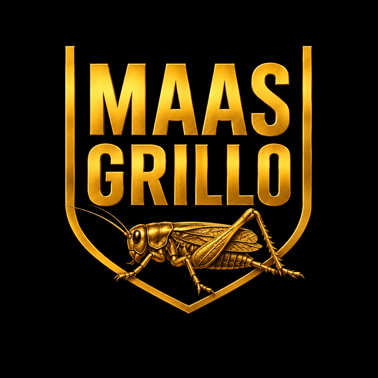 MAAS GRILLO